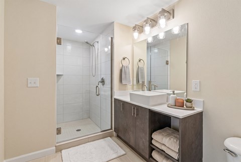 Bathroom with a glass walk-in tile shower, a dark wood-tone vanity, a vessel sink, and a wide framed mirror.