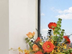 Large windows let in the warmth and light of the sun. And at night, this scene is simply dazzling. View of Boston skyline through a large bright window at Oak Terrace.