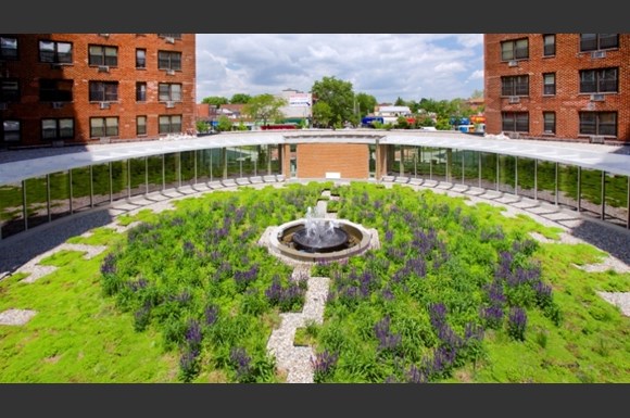 Pet Friendly Apartments For Rent Queens Ny Pet Friendly Apartments For Rent Queens Ny