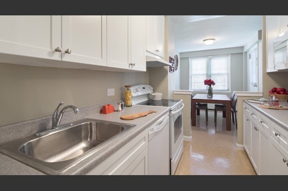 Pet Friendly Apartments For Rent Queens Ny Pet Friendly Apartments For Rent Queens Ny
