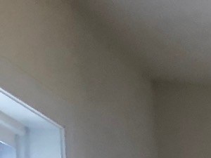 416 S. 15th Street Studio-2 Beds Apartment for Rent - Photo Gallery 5
