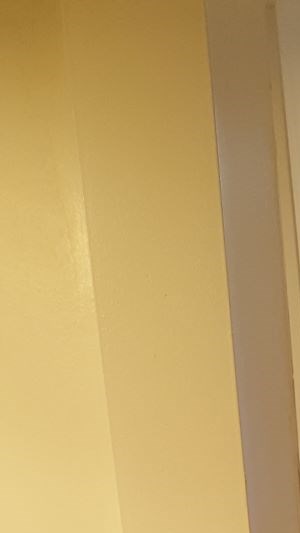 1530 Pine Street 1-3 Beds Apartment for Rent - Photo Gallery 6