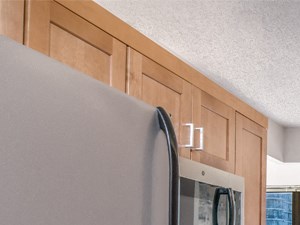 Beautiful kitchens featuring stainless steel appliances! Beautiful kitchens featuring stainless steel appliances at Columbus Plaza, Illinois, 60601 - Photo Gallery