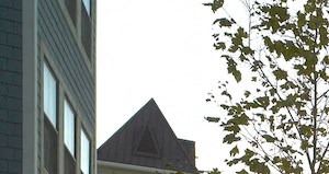 50 Chelsea Avenue Studio-3 Beds Apartment for Rent - Photo Gallery 4