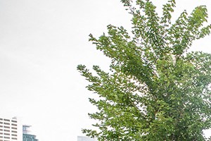 Lpm Apartments Reviews Lpm Apartments Reviews