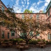 a tree in front of a brick building