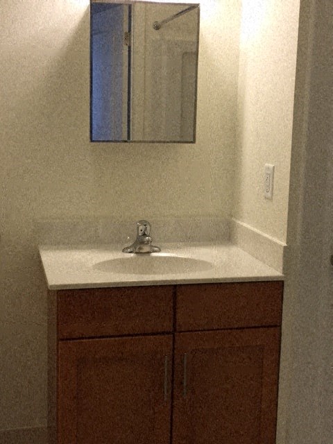 a bathroom with a sink and a mirror