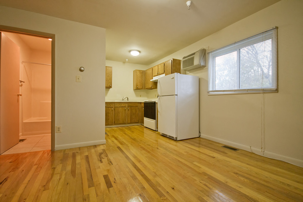 Living room and kitchen