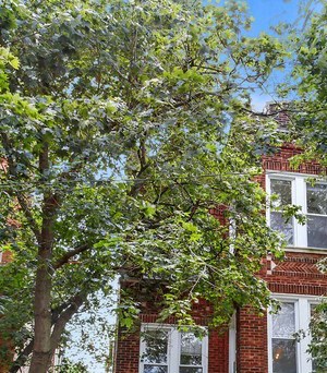 Rent Luxury Apartments In West Humboldt Park Chicago Il Rentcafé