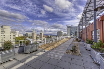 910 8th Avenue Studio-2 Beds Apartment for Rent - Photo Gallery 3
