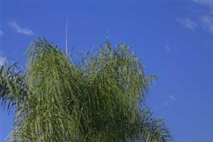 Bedroom Apartments For Rent In West Covina Ca Bedroom Apartments For Rent In West Covina Ca