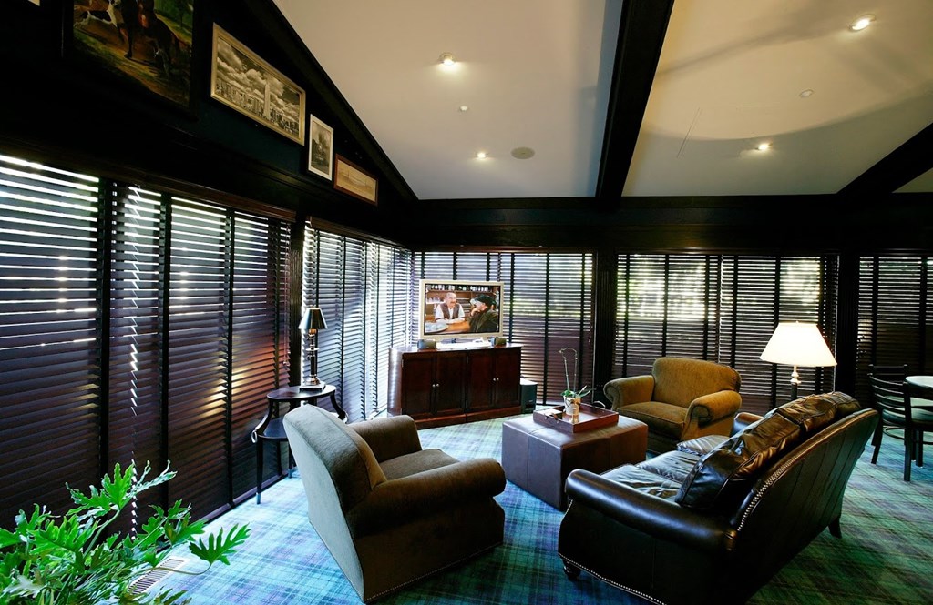 a living room with leather furniture and a tv