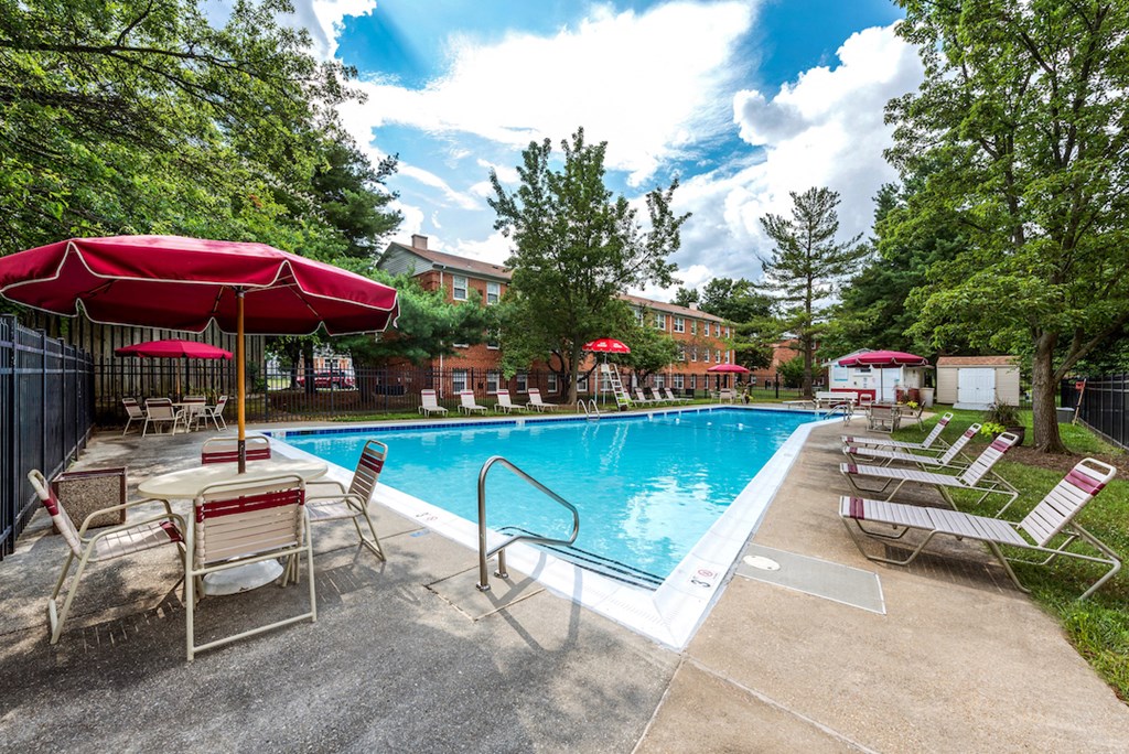 the swimming pool at our hotel