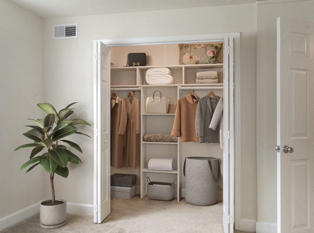 a closet with a plant and some clothes in it