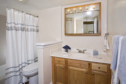 a bathroom with a sink and a shower and a toilet