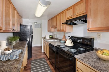 1668 Carlyle Drive 1-3 Beds Apartment for Rent - Photo Gallery 5