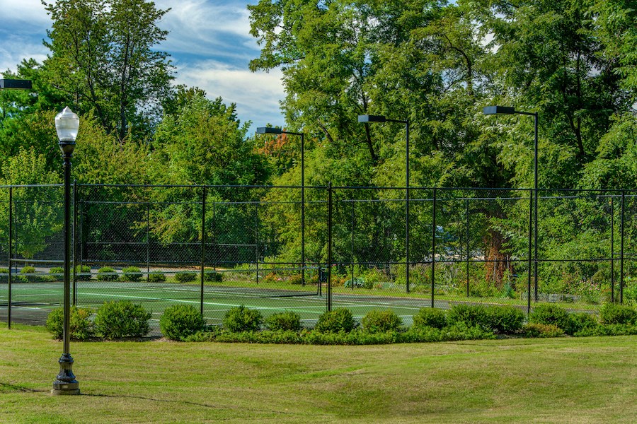 a tennis court in a park with trees