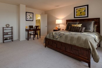 2445 Lyttonsville Road Studio-3 Beds Apartment for Rent - Photo Gallery 5