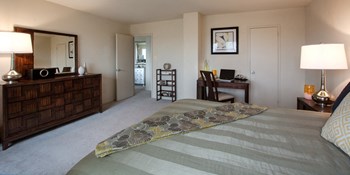 2445 Lyttonsville Road Studio-3 Beds Apartment for Rent - Photo Gallery 6