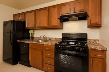 2445 Lyttonsville Road Studio-3 Beds Apartment for Rent - Photo Gallery 4