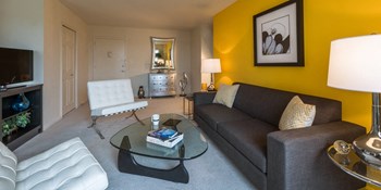 2445 Lyttonsville Road Studio-3 Beds Apartment for Rent - Photo Gallery 2