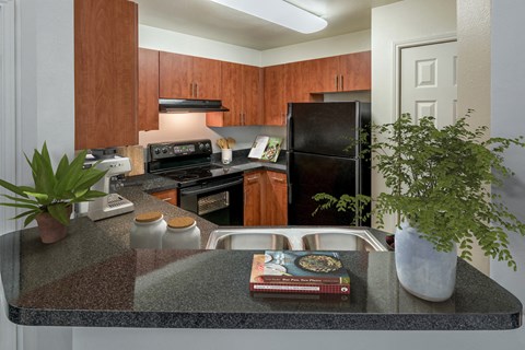 a kitchen with black appliances and a counter with a plant