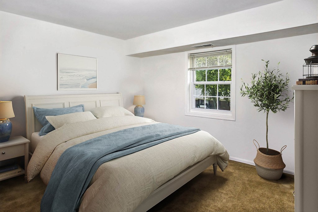 a bedroom with a bed and a window