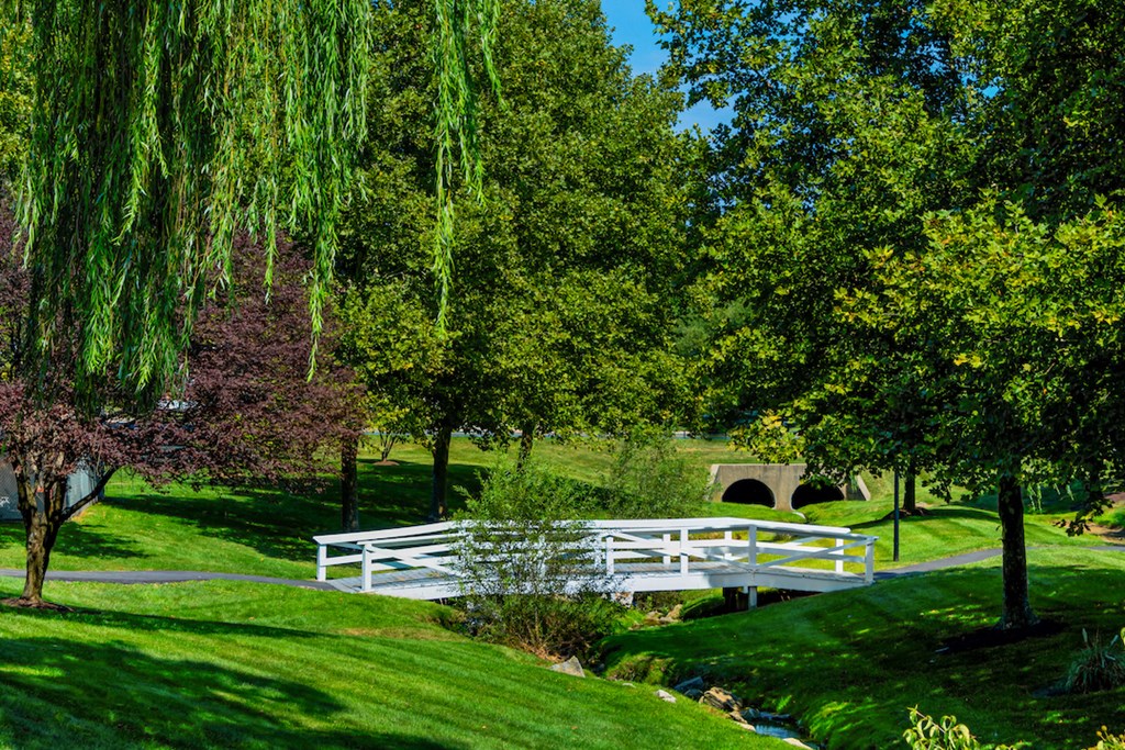 a white bridge over a stream in a park
