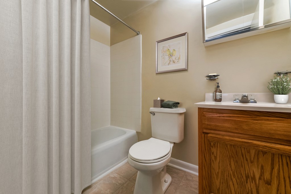 a bathroom with a shower and a toilet and a sink