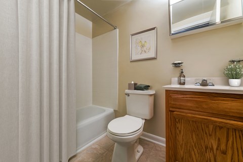 a bathroom with a shower and a toilet and a sink