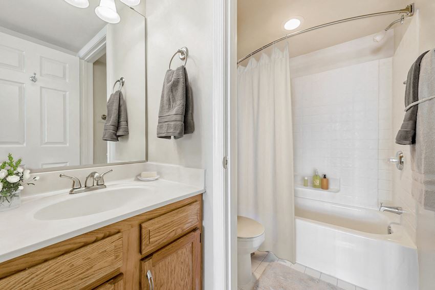 a bathroom with a sink and a toilet and a shower