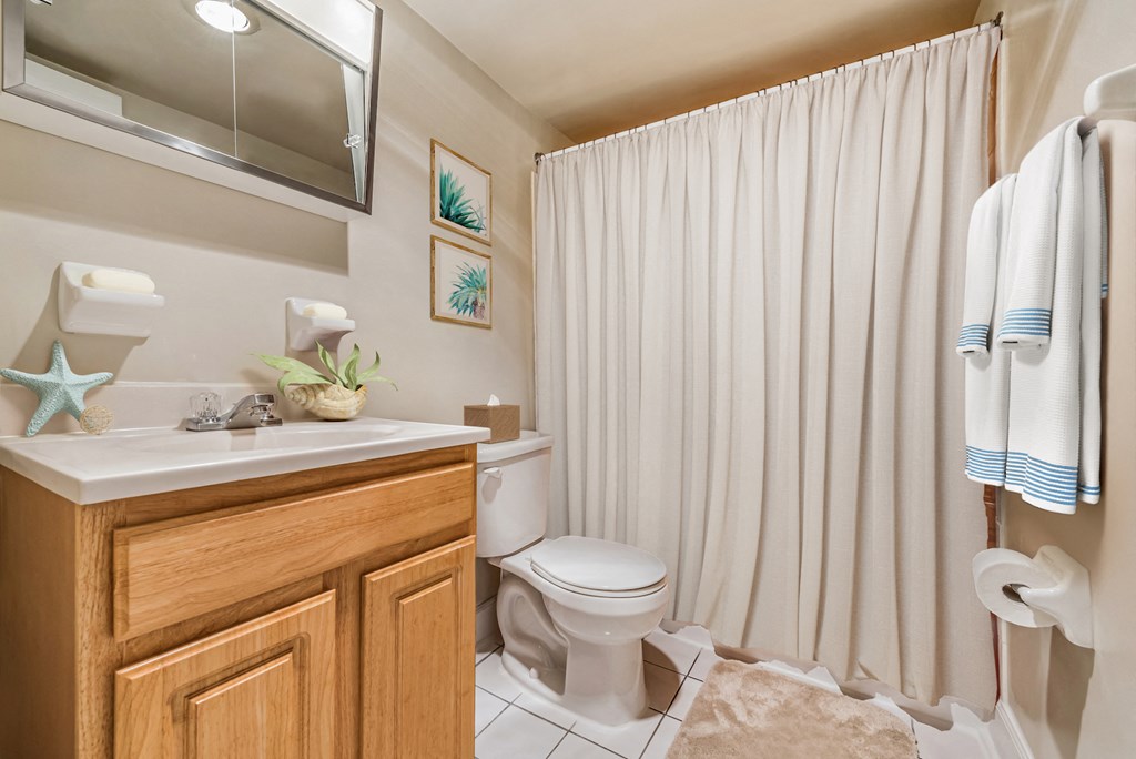 a bathroom with a shower and a toilet and a sink