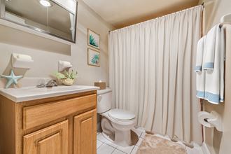 4203 58th Avenue 1-3 Beds Apartment for Rent - Photo Gallery