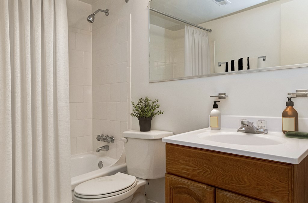 a bathroom with a toilet sink and shower and a mirror