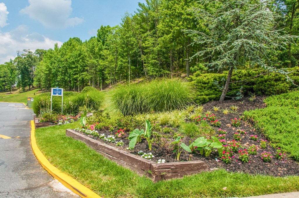 a garden on the side of a road