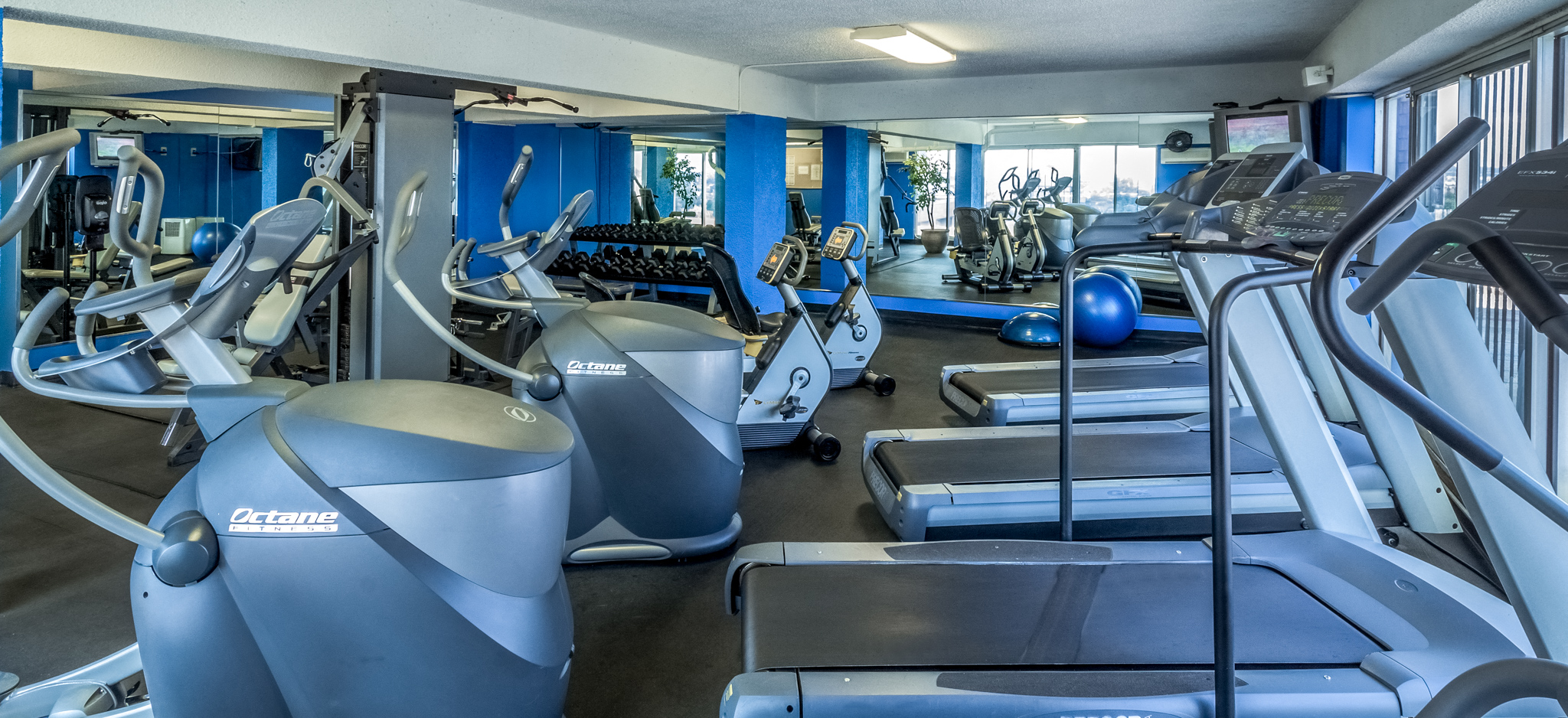 a gym full of cardio equipment and weights
