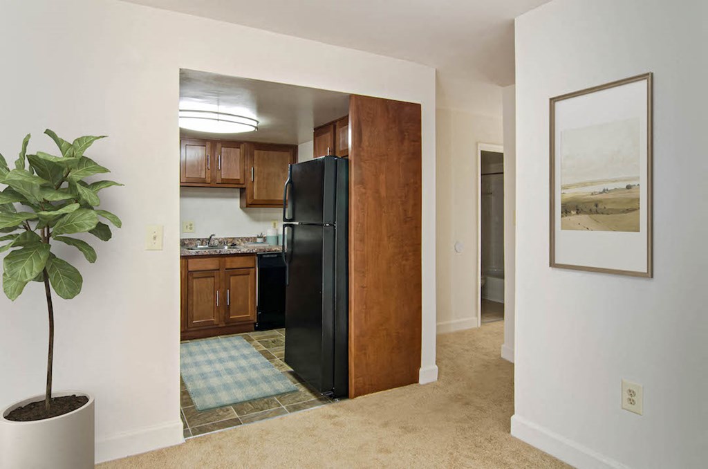 a kitchen with a black refrigerator  and a potted plant