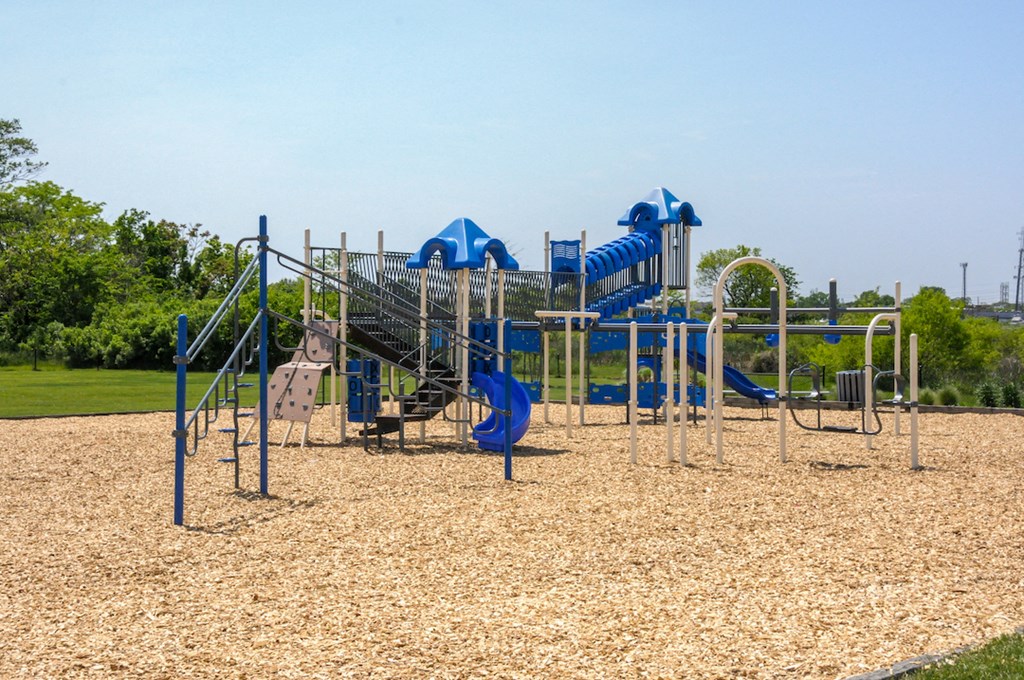 a playground with a blue slide and monkey bars in a park