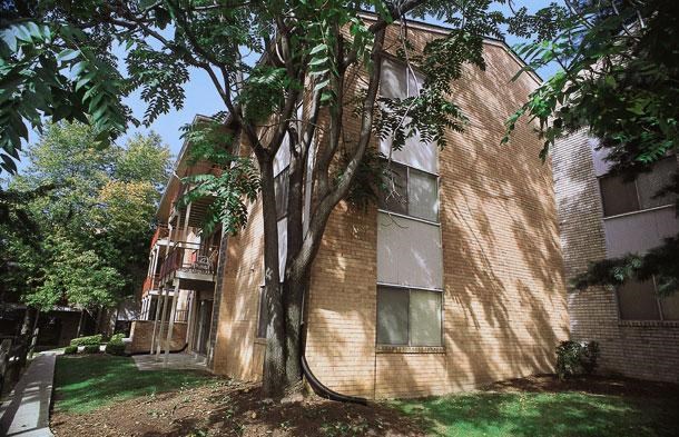 a brick building with a tree in front of it