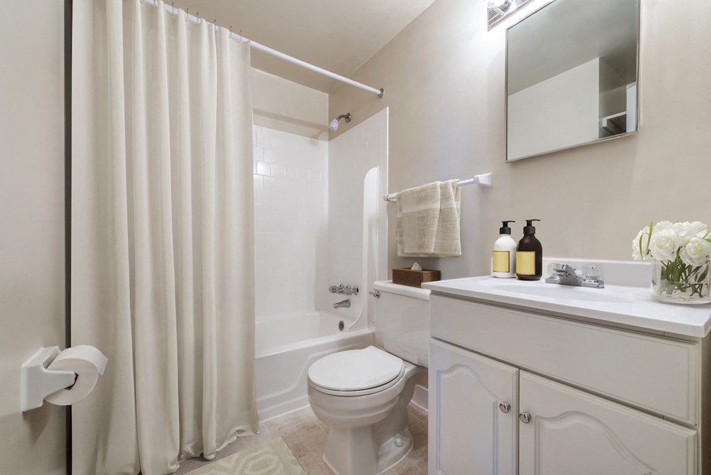 a bathroom with a shower and a toilet and a sink