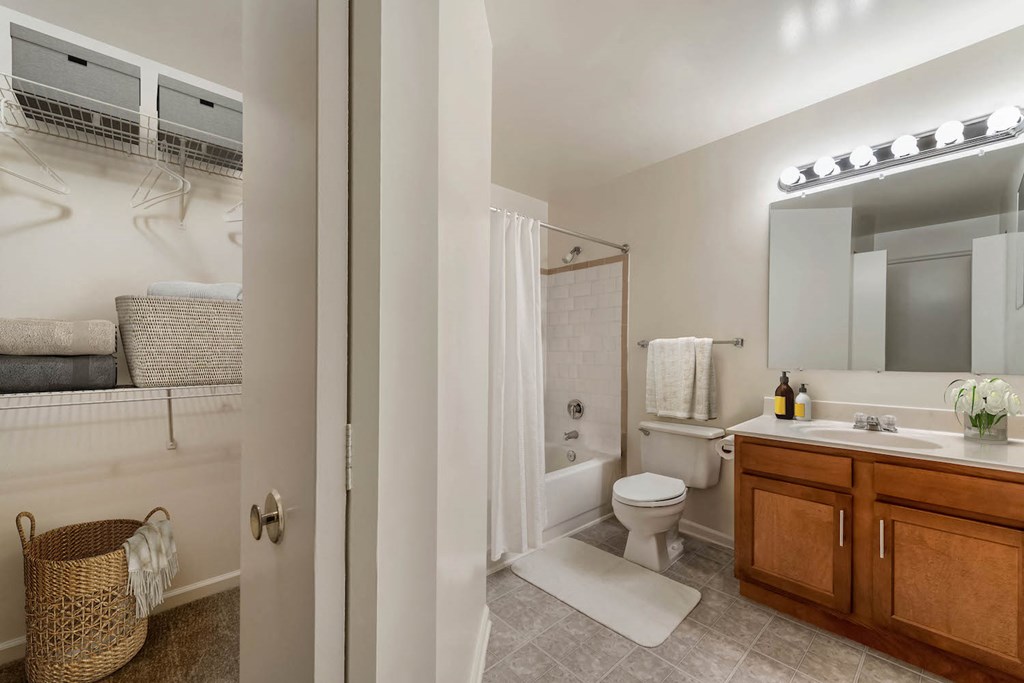 a bathroom with a shower toilet and sink and a mirror