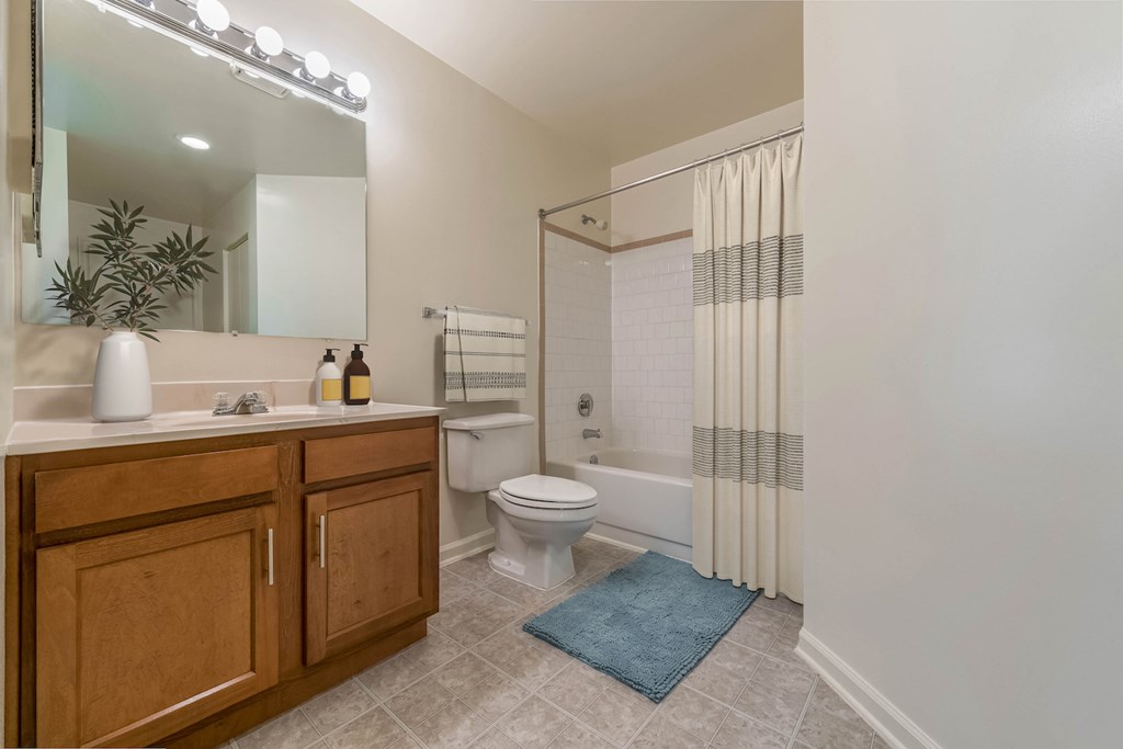 a bathroom with a shower toilet and sink and a mirror
