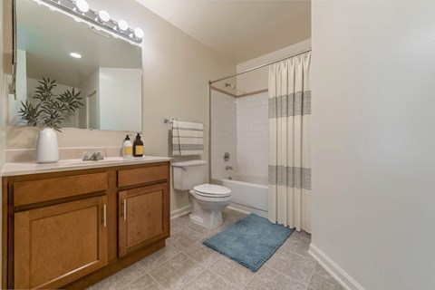 a bathroom with a shower toilet and sink and a mirror