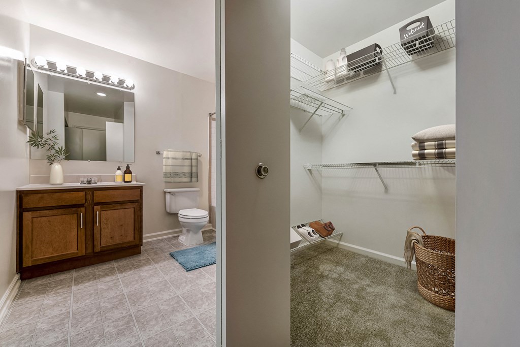 a bathroom with a shower and a sink and a toilet
