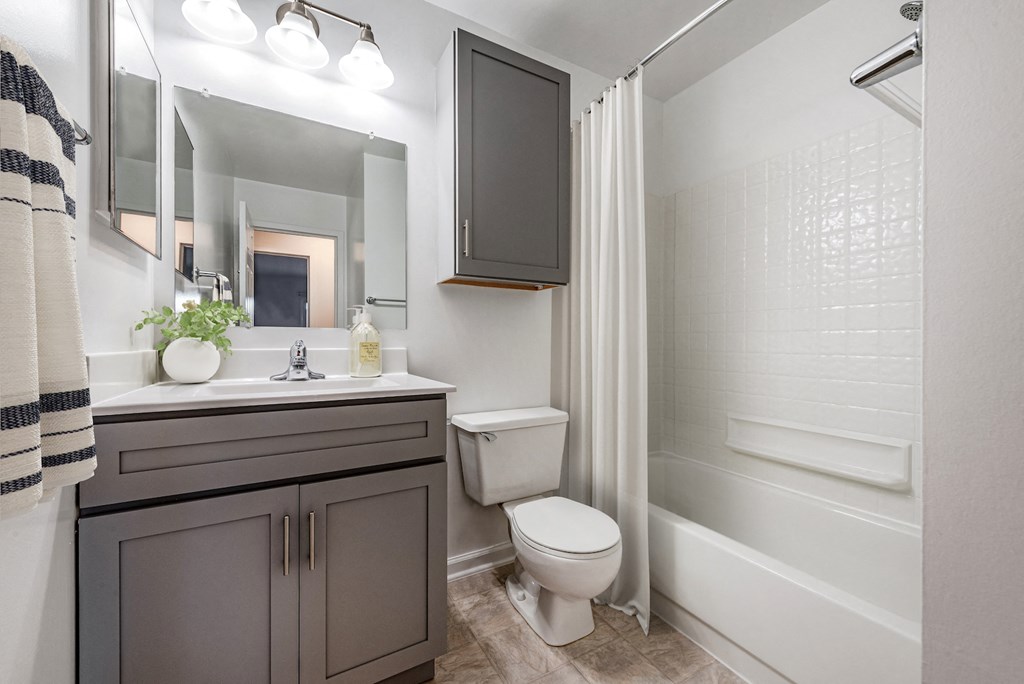 a bathroom with a shower and a toilet and a sink