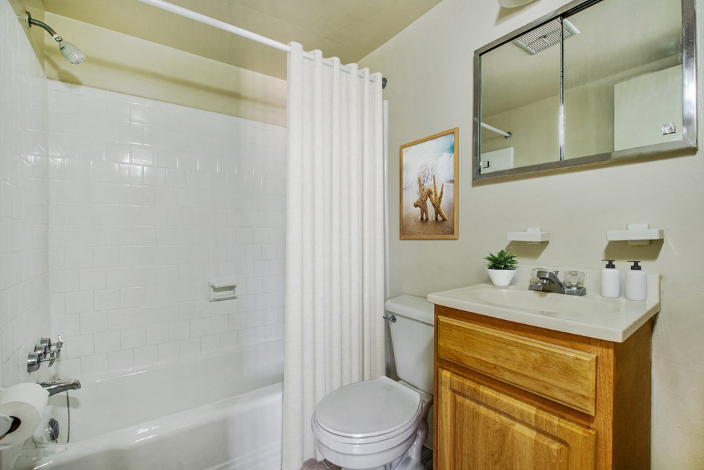 a bathroom with a shower and a toilet and a sink