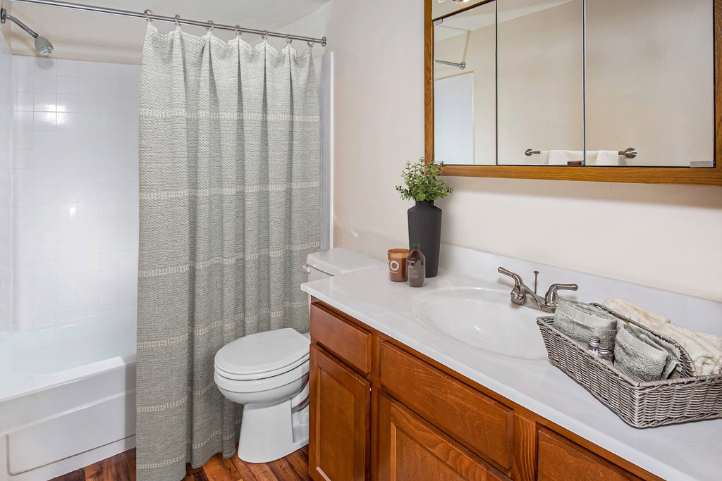 a bathroom with a sink and a toilet and a shower