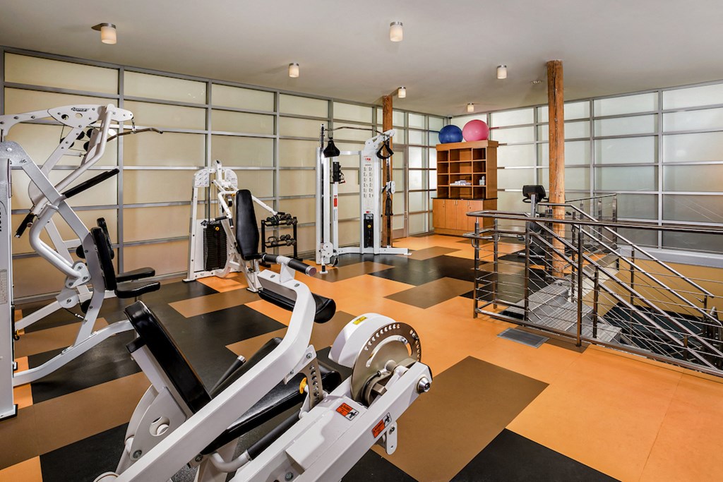 a gym with weights and cardio equipment in a home gym
