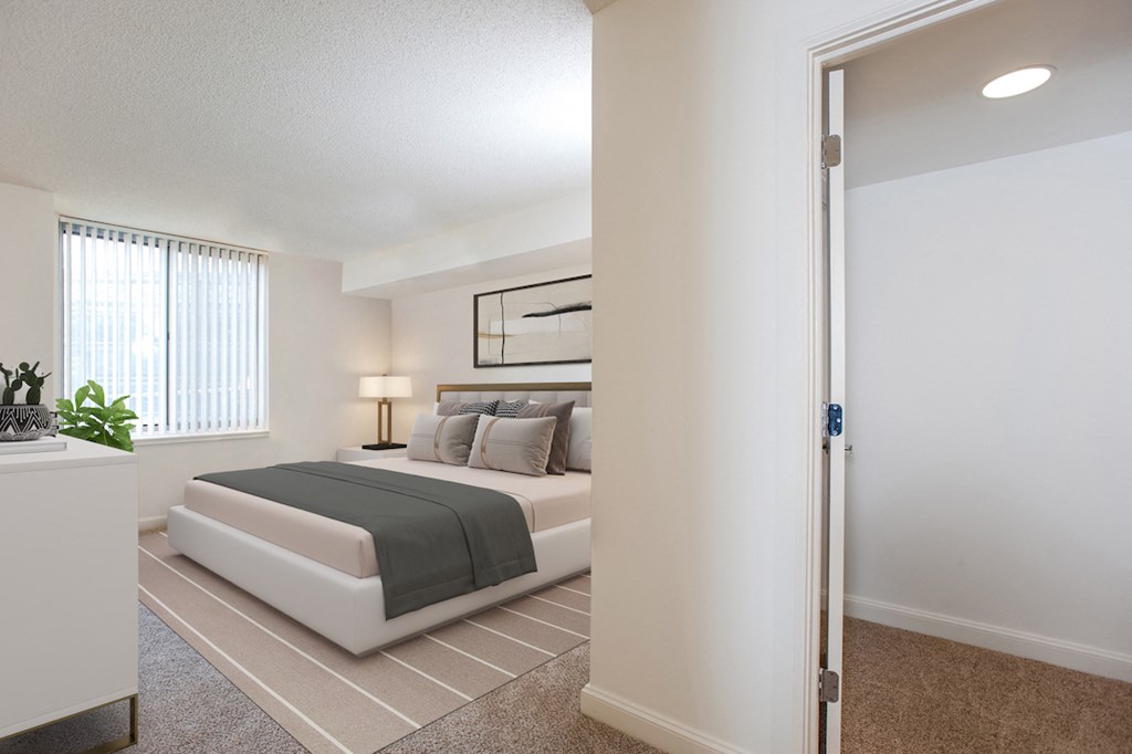 a bedroom with a bed and a closet