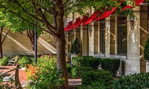 a building with red awnings and a tree in front of it